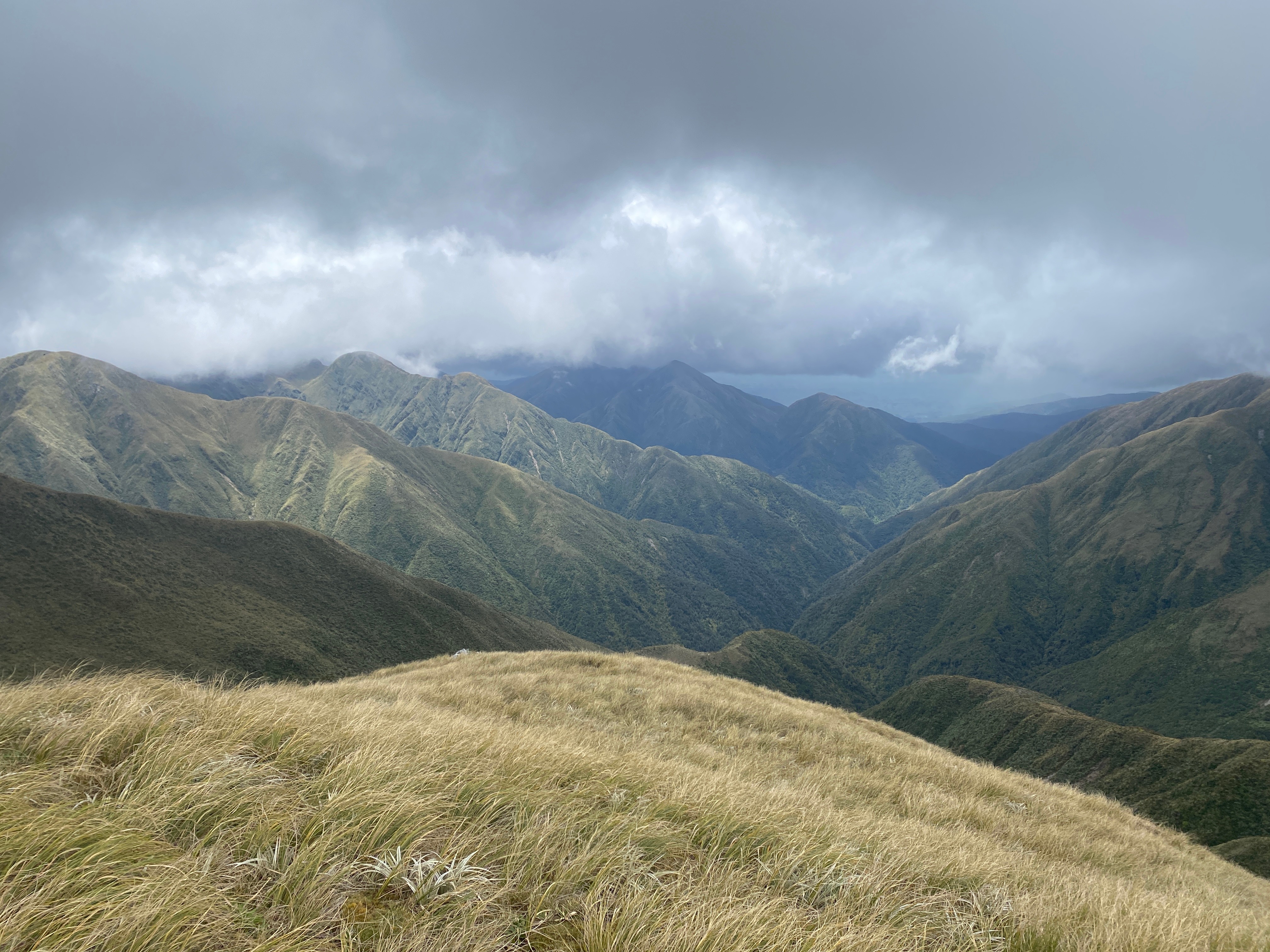 Double Marchant Ridge