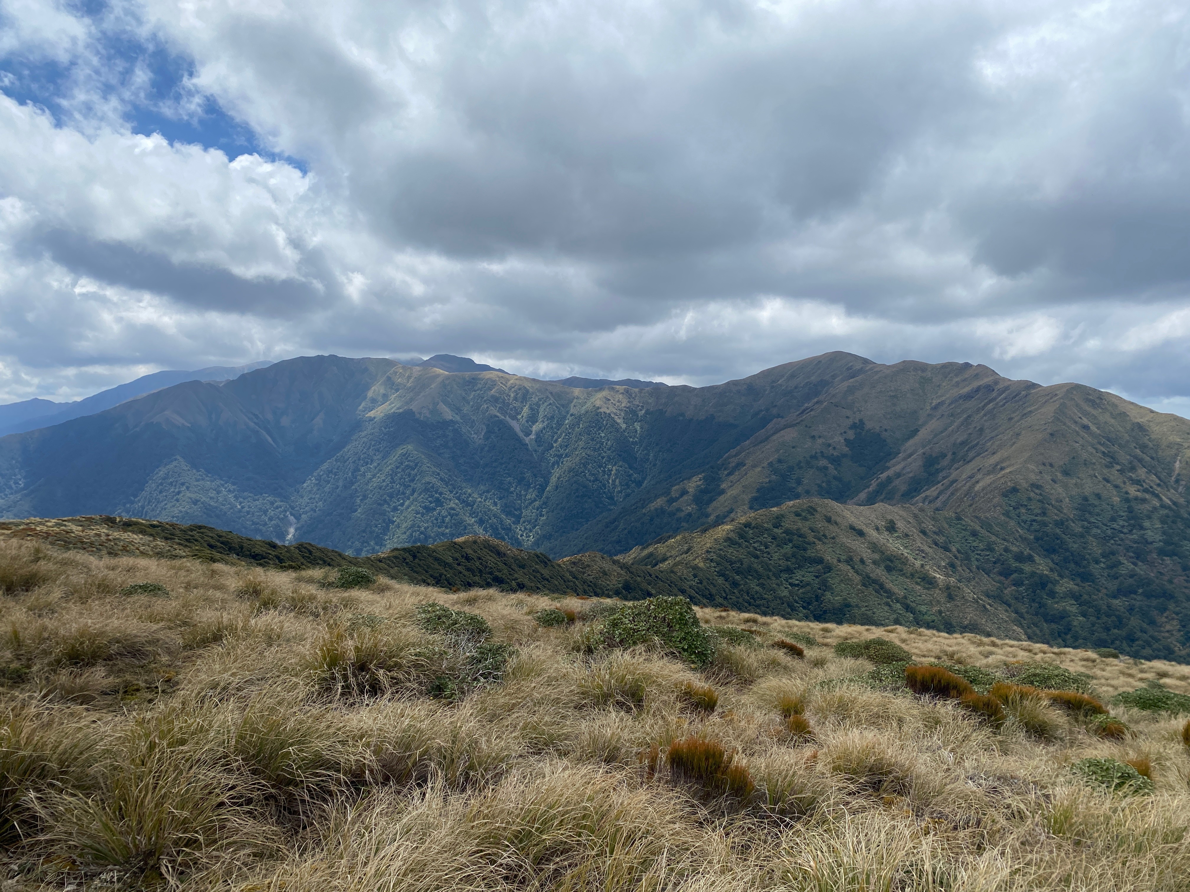 Double Marchant Ridge