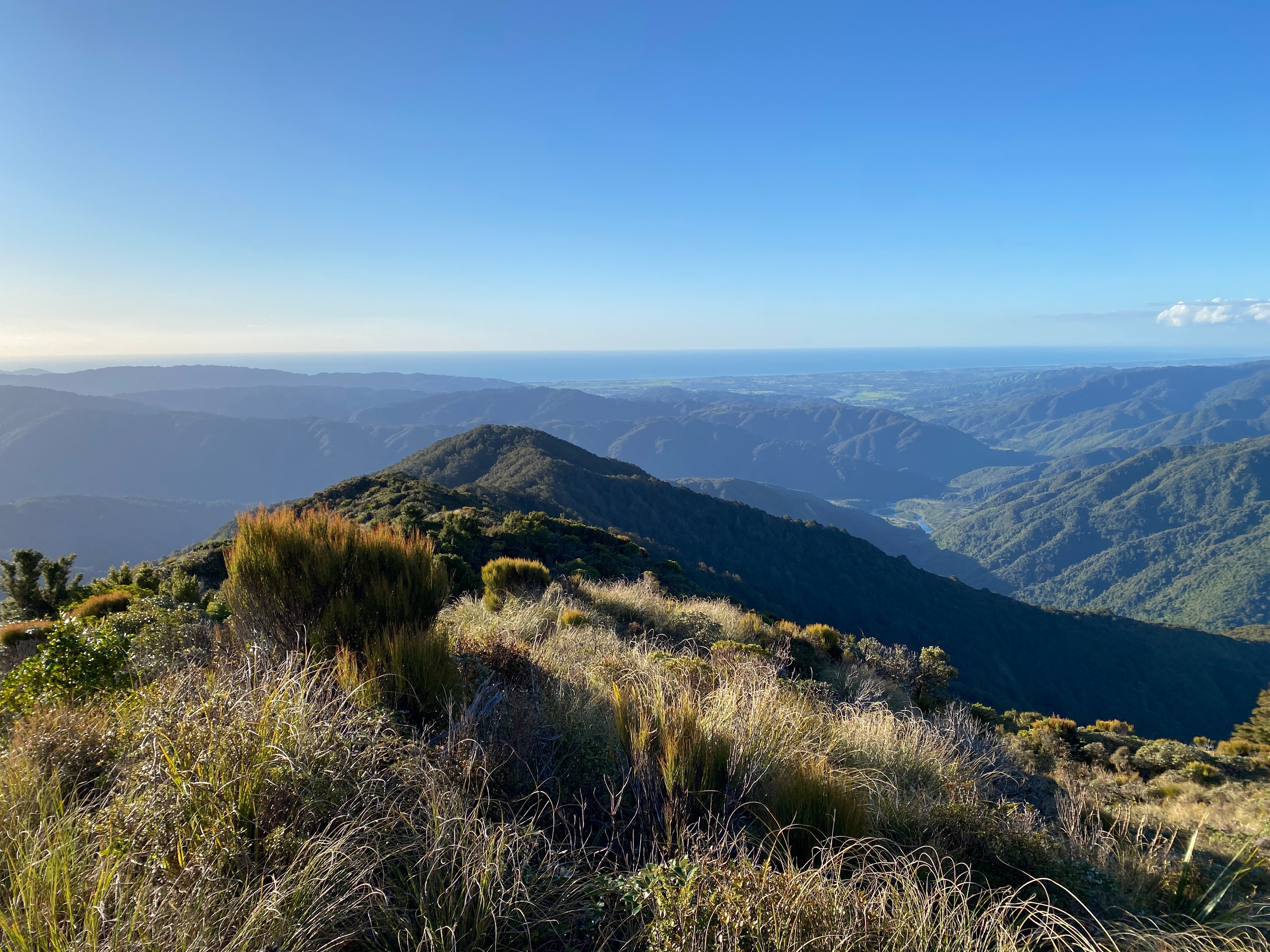 Double Marchant Ridge